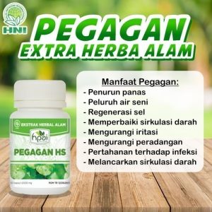 PEGAGAN HS