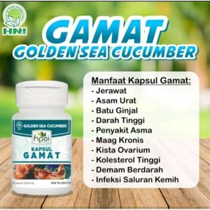 GAMAT KAPSUL